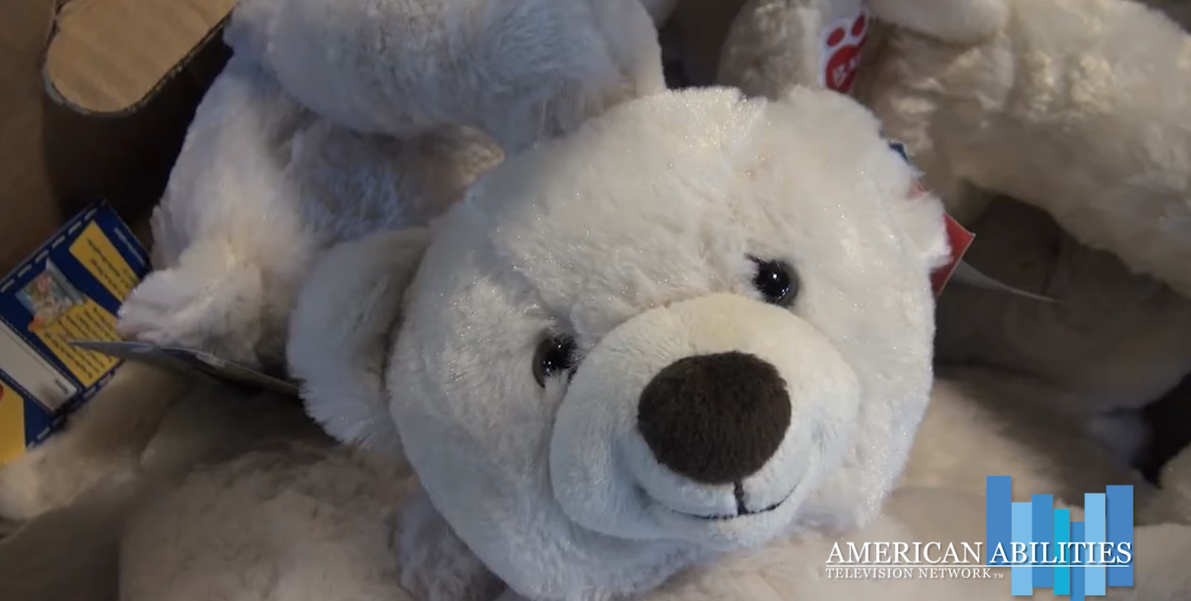 A close-up of cream-colored plush teddy bears packed together with product tags, in a still from the U.S. Marines' Toys for Tots segment