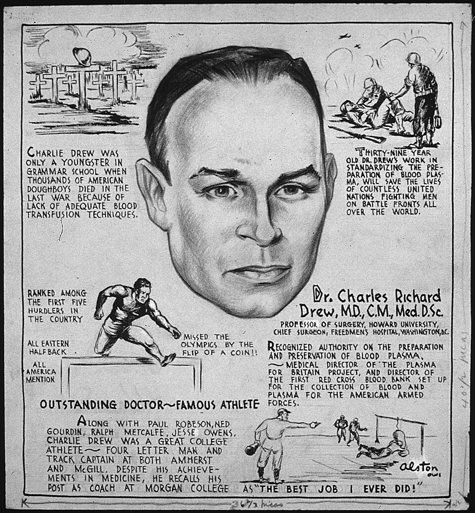 Portrait of Charles Drew